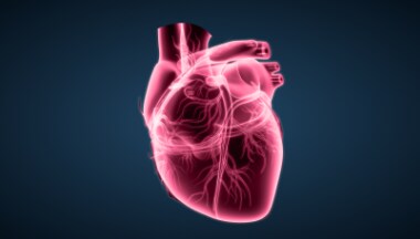 Visualization of a heart