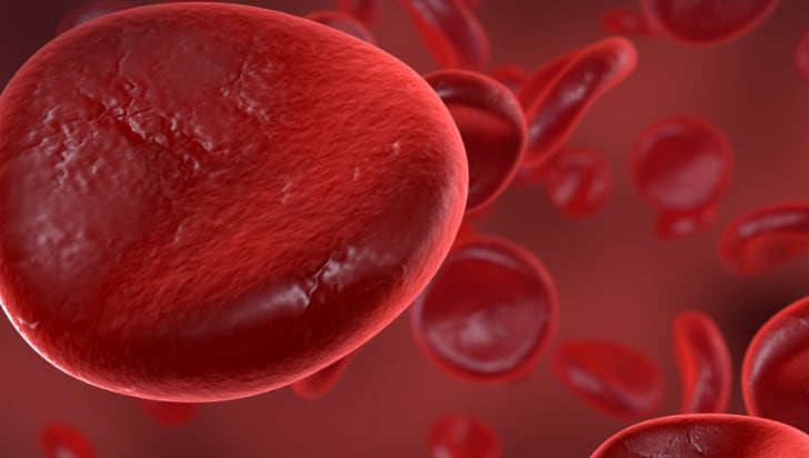 Blood cells inside an artery